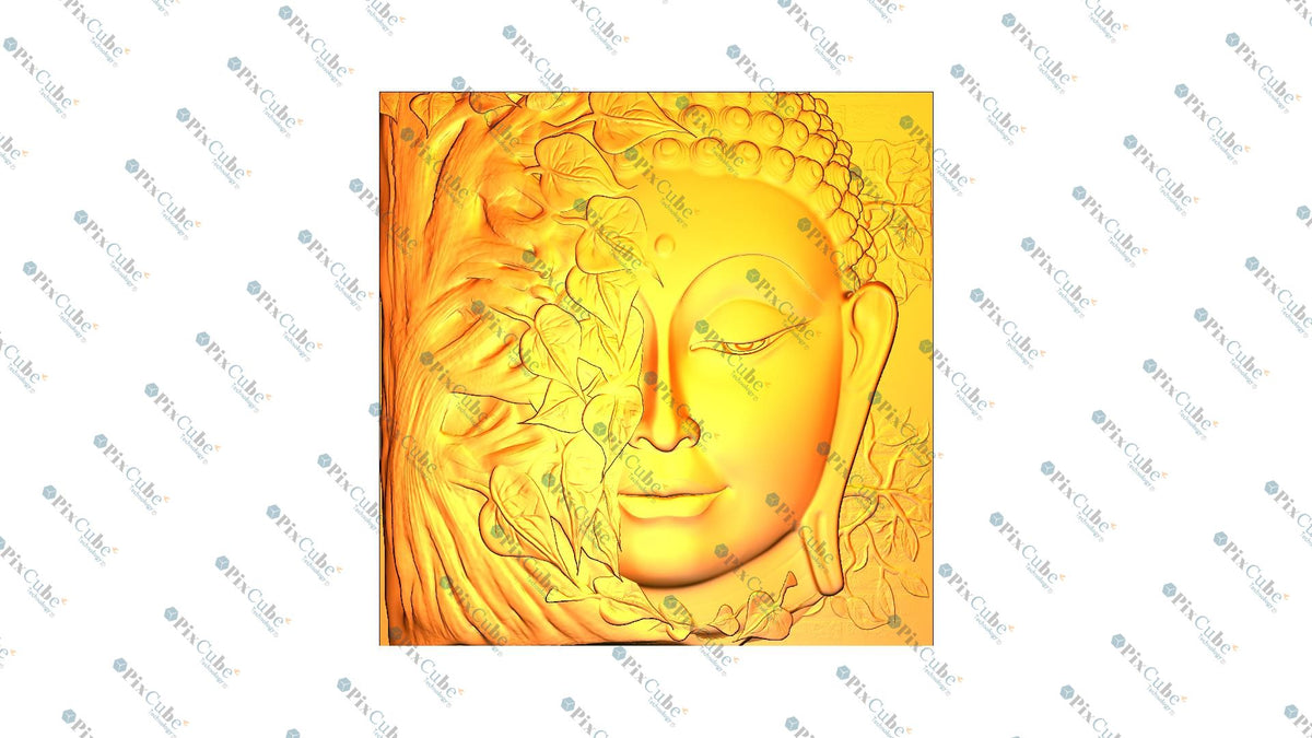 PCT 168